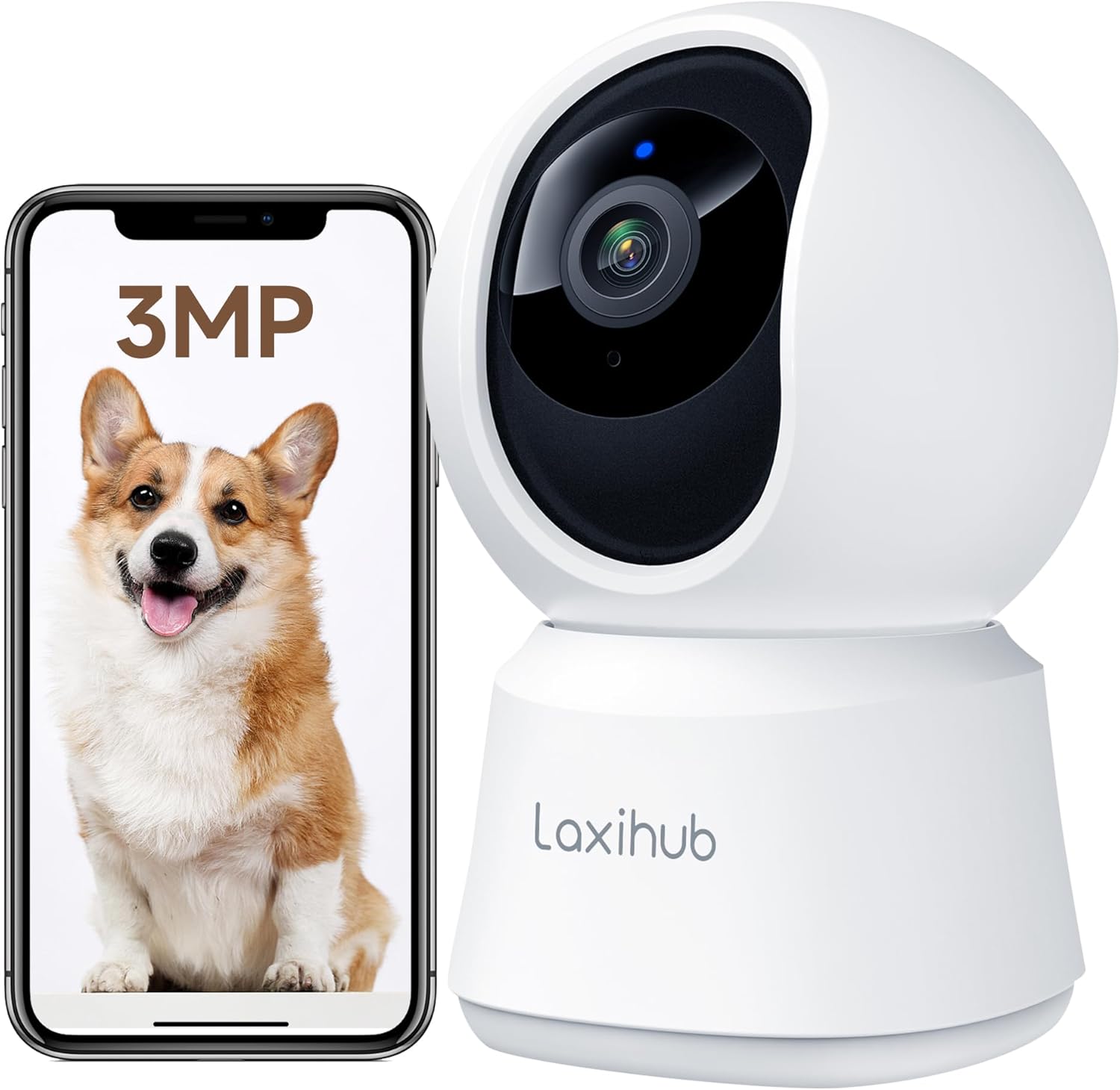 Laxihub Camera Surveillance