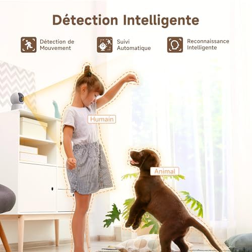 Vue 3 de Laxihub Camera Surveillance