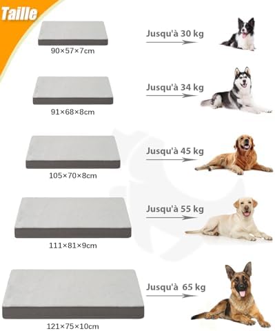 Vue 6 de Ksiia Panier Coussin Chien