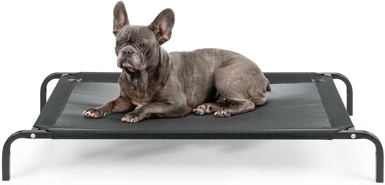 Lionto Lit Pour Chien