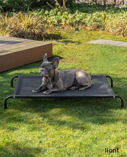 Vue 2 de Lionto Lit Pour Chien