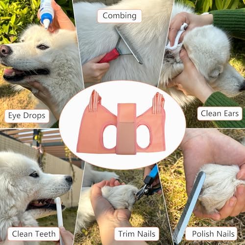 Vue 4 de Daizysight Hamac Toilettage Pour