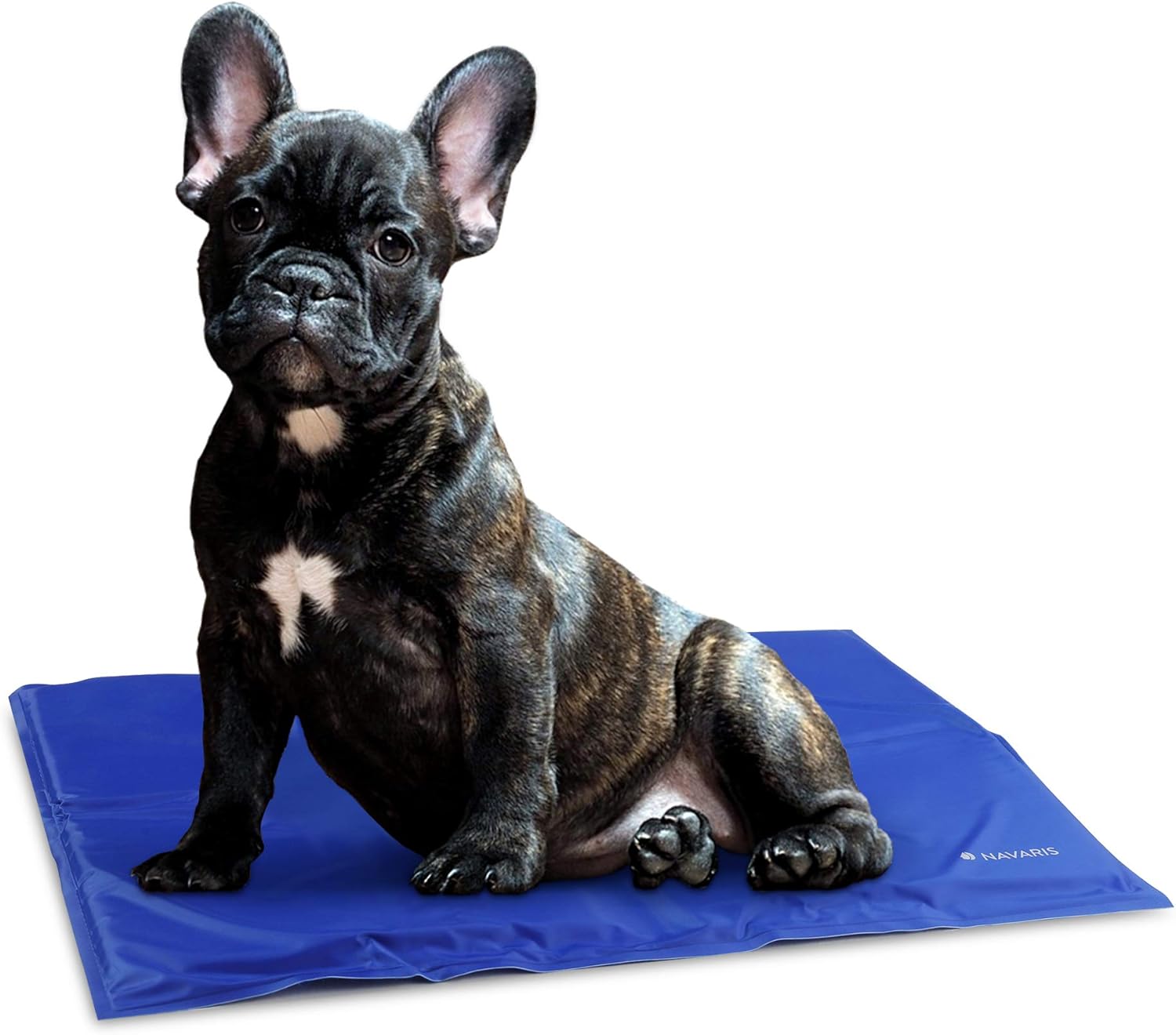 Navaris Tapis Rafraichissant Chien