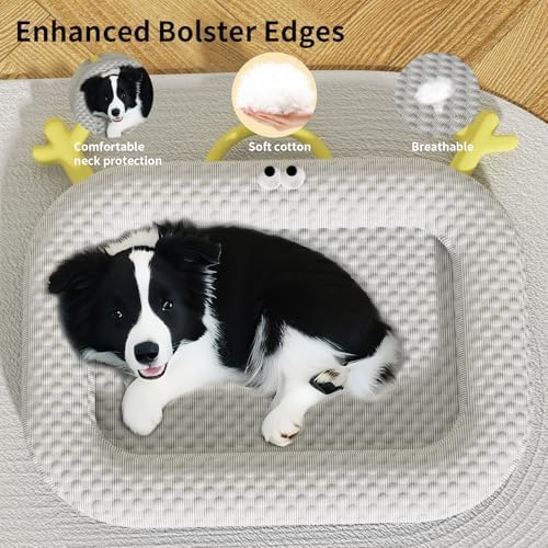 Vue 4 de Tapis Refroidissant Pour Chien