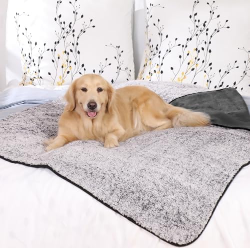 Vue 4 de Pettom Couverture Pour Chien