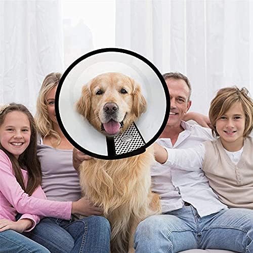 Vue 7 de Wyfcr Pet Cone Recovery