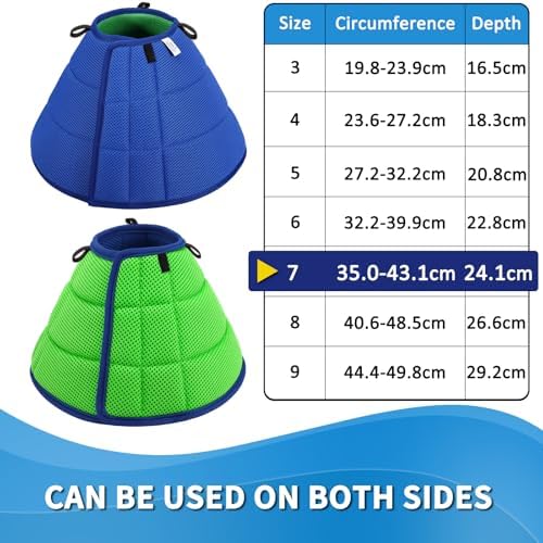 Vue 3 de Collerette Chien Collerette Souple