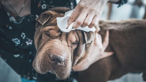 Vue 5 de Vetocanis Lingettes Nettoyantes Chien