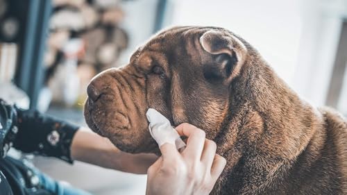 Vue 6 de Vetocanis Lingettes Nettoyantes Chien