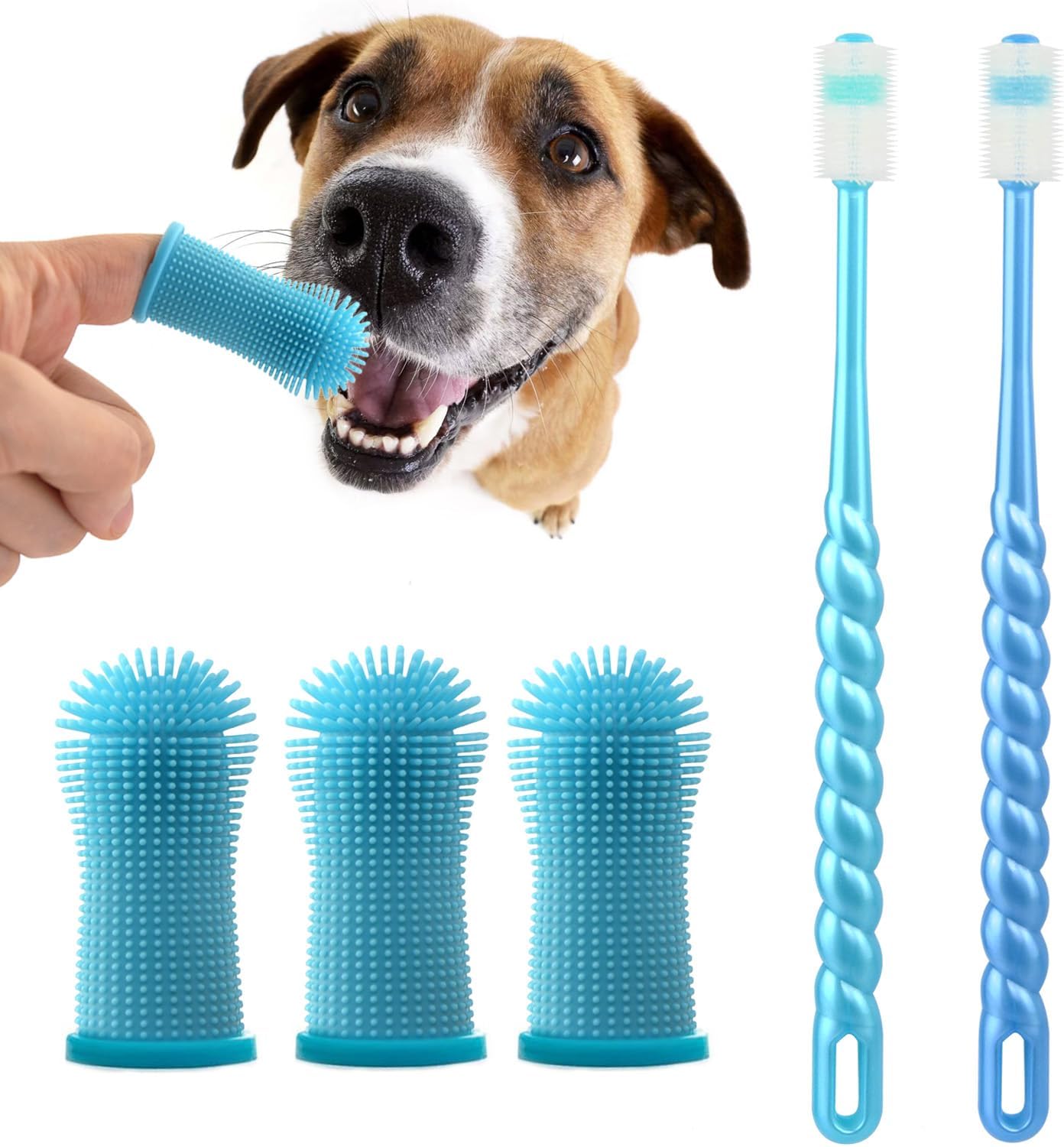 Brosse Dent Chien