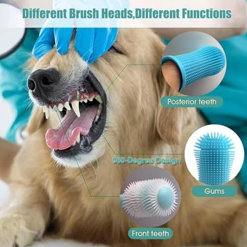 Vue 3 de Brosse Dent Chien