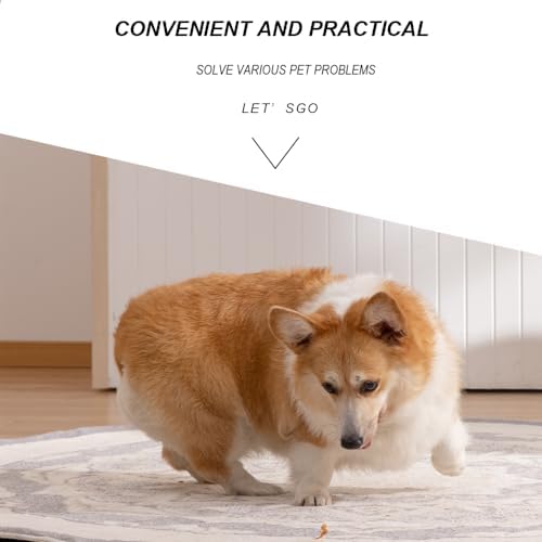 Vue 6 de Lmyzcbzl Peigne Anti Poux