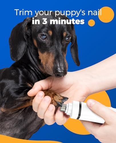 Vue 4 de Oneisall En Tondeuse Chien