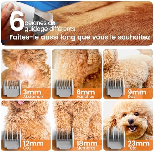 Vue 6 de Oneisall Aspirateur Poil De