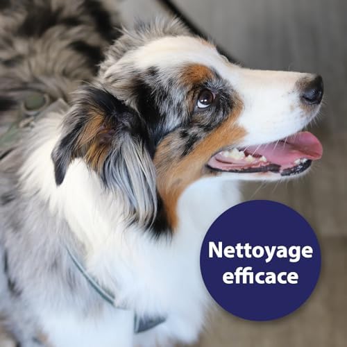 Vue 3 de Canosept Spray De Soin