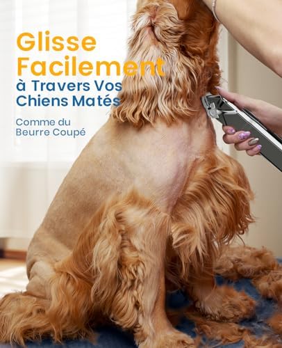 Vue 2 de Oneisall Tondeuses Pour Chiens