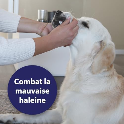 Vue 4 de Canosept Spray De Soin