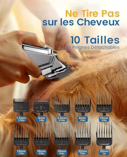 Vue 3 de Oneisall Tondeuses Pour Chiens