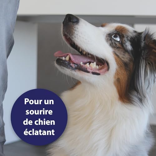 Vue 5 de Canosept Spray De Soin