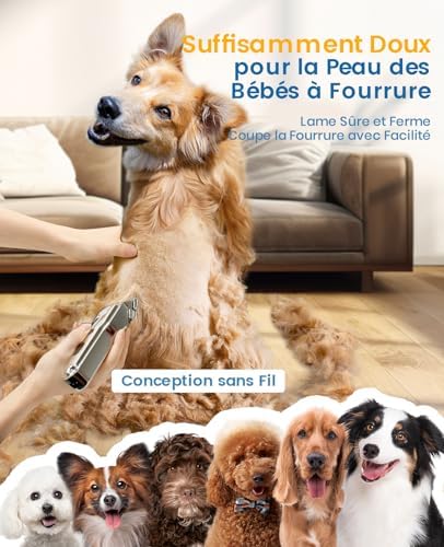 Vue 4 de Oneisall Tondeuses Pour Chiens