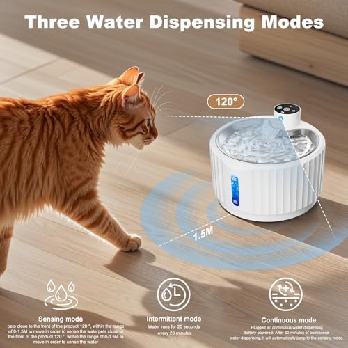 Vue 2 de Fontaine Eau Chat