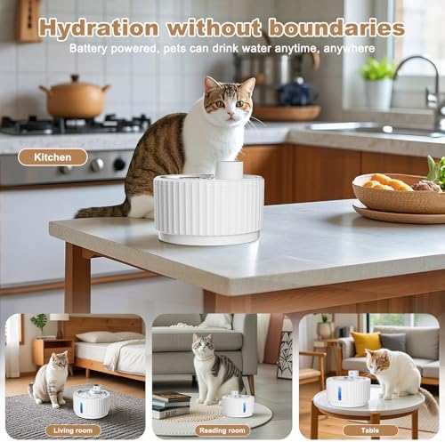 Vue 5 de Fontaine Eau Chat