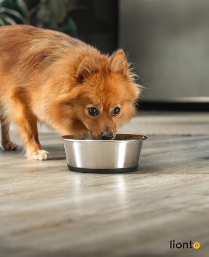 Vue 2 de Lionto Gamelle En Acier