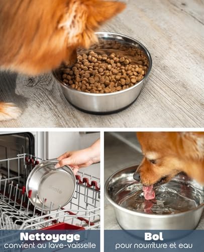 Vue 3 de Lionto Gamelle En Acier