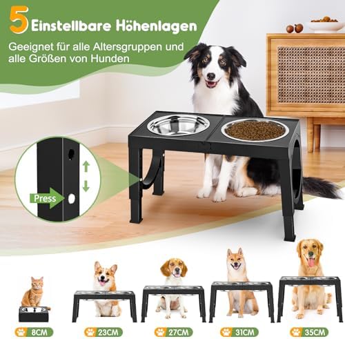 Vue 2 de Xben Gamelle Chien