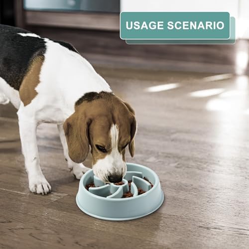 Vue 5 de Vinabo Gamelle Anti Glouton