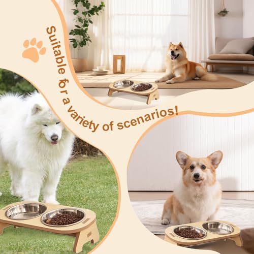 Vue 6 de Druuzyl Gamelle Surelevee Pour