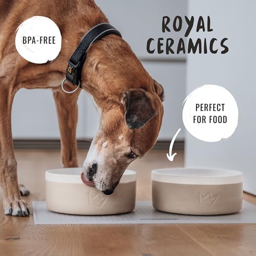 Vue 3 de Rudelkonig Gamelle Chien Ceramique