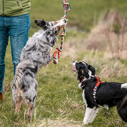 Vue 4 de Nobby Os Avec Nuds