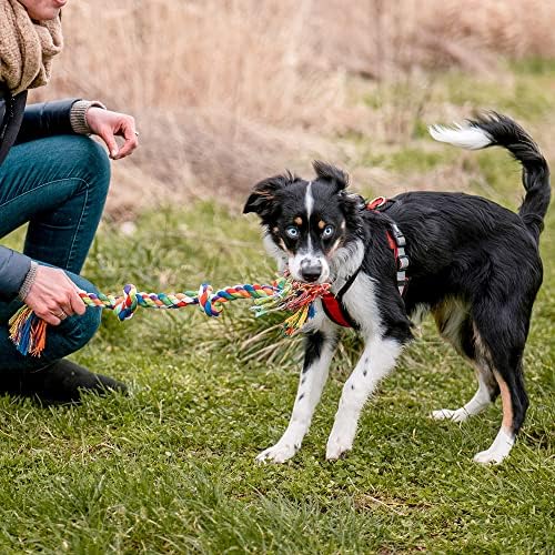 Vue 5 de Nobby Os Avec Nuds