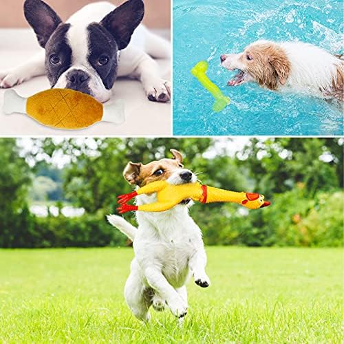 Vue 7 de Jouet Pour Chiensmaisitoo Ensemble