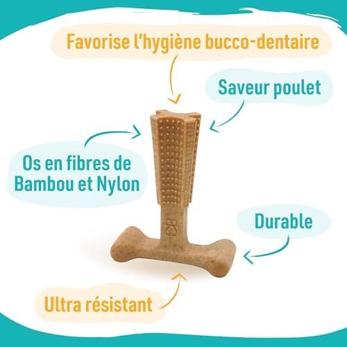 Vue 3 de Aime Jouet Macher