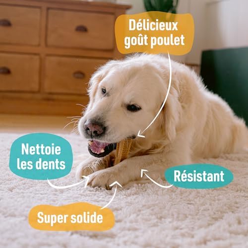 Vue 4 de Aime Jouet Macher