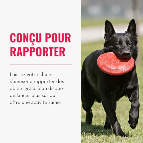 Vue 3 de Kong Flyer Jouet Durable