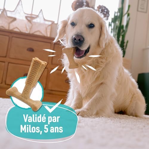 Vue 7 de Aime Jouet Macher