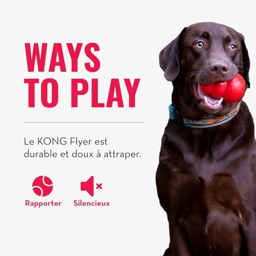 Vue 5 de Kong Flyer Jouet Durable