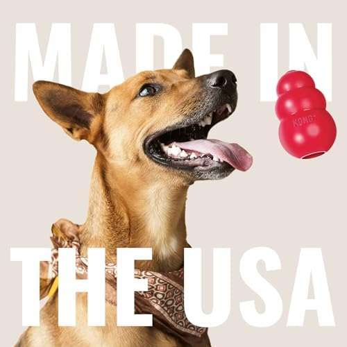 Vue 6 de Kong Flyer Jouet Durable