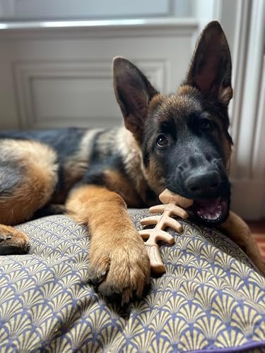 Vue 3 de Tyrol Jouet Chien Bambone