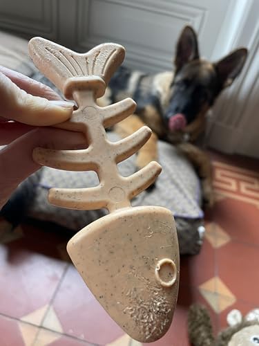 Vue 4 de Tyrol Jouet Chien Bambone