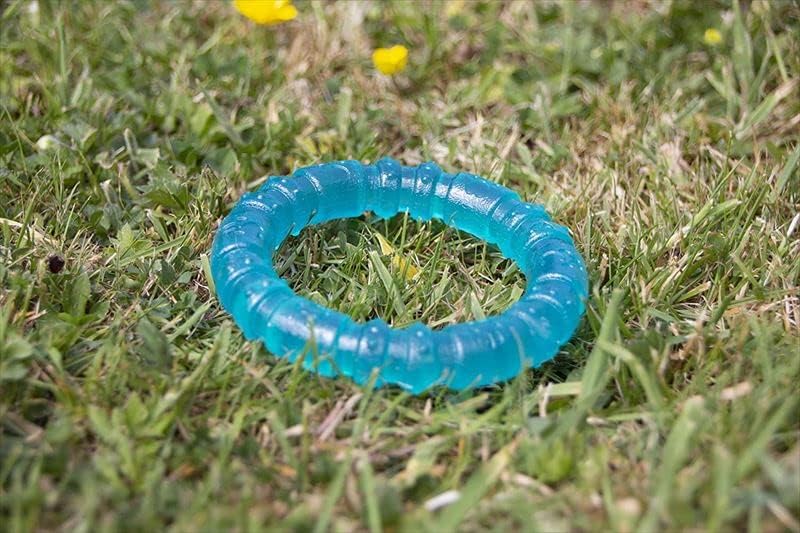 Vue 5 de Rosewood Biosafe Jouet Anneau