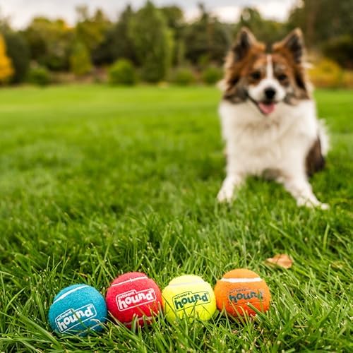 Vue 5 de Outward Hound Balle Pour