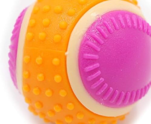 Vue 2 de Aime Balle Pour Chien