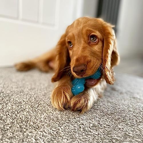 Vue 2 de Nylabone Jouet Macher