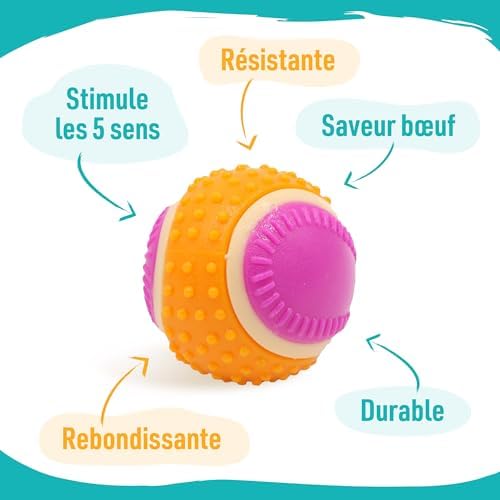 Vue 3 de Aime Balle Pour Chien