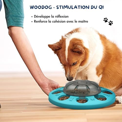 Vue 3 de Gamelle Chien Niveau Intermediaire