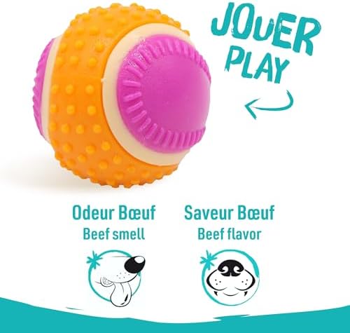 Vue 4 de Aime Balle Pour Chien